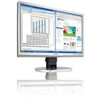 Philips 220BW9CS 22  panormico WSXGA+ Monitor LCD panormico (220BW9CS/00)